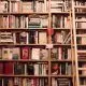 Bücherregal mit Büchern und einer angelehnten Leiter