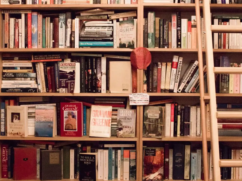 Bücherregal mit Büchern und einer angelehnten Leiter