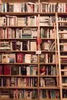 Bücherregal mit Büchern und einer angelehnten Leiter