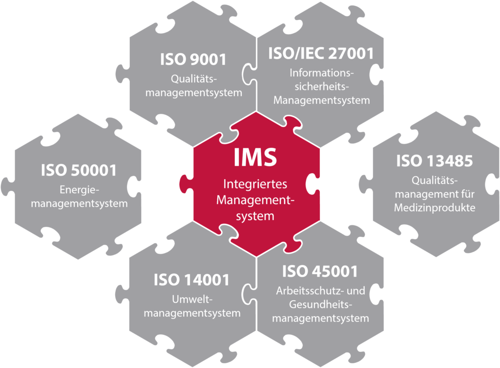 Integriertes Managementsystem im Manegementsystemkontext