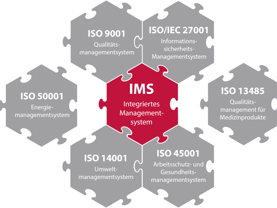 Integriertes Managementsystem im Managementsystemkontext