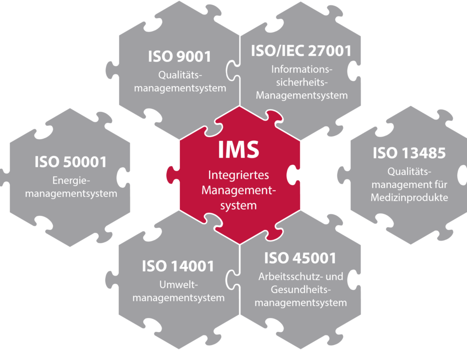Integriertes Managementsystem im Managementsystemkontext