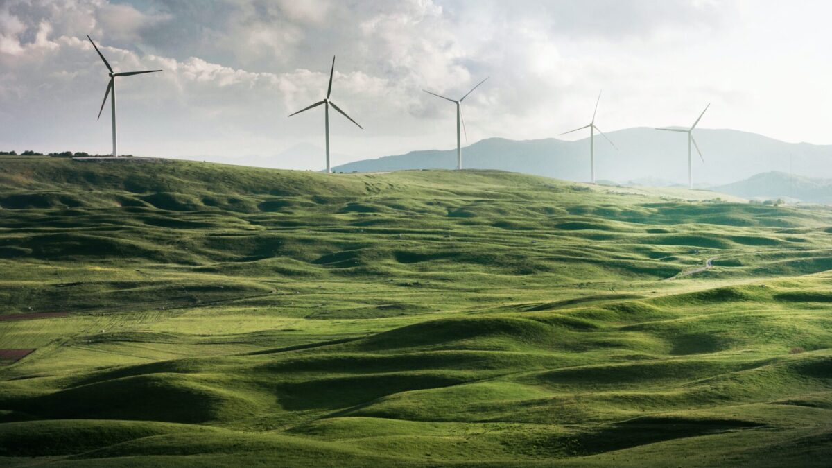 Windräder auf einer grünen Wiese vor Bergen
