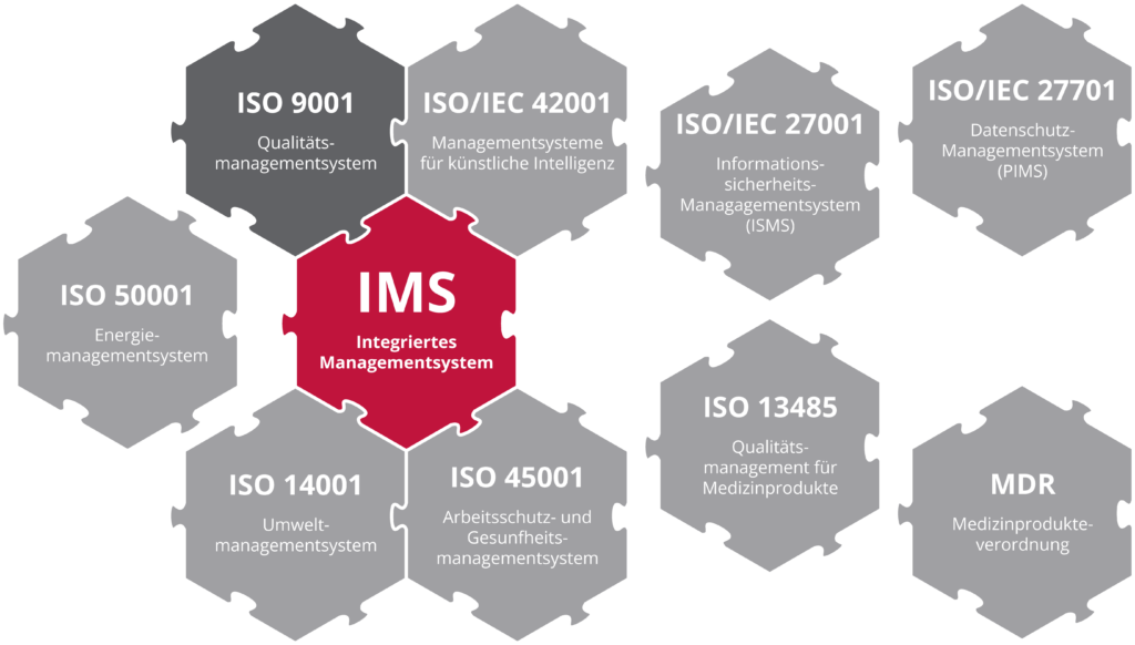 Integriertes Managementsystem im Managementsystemkontext